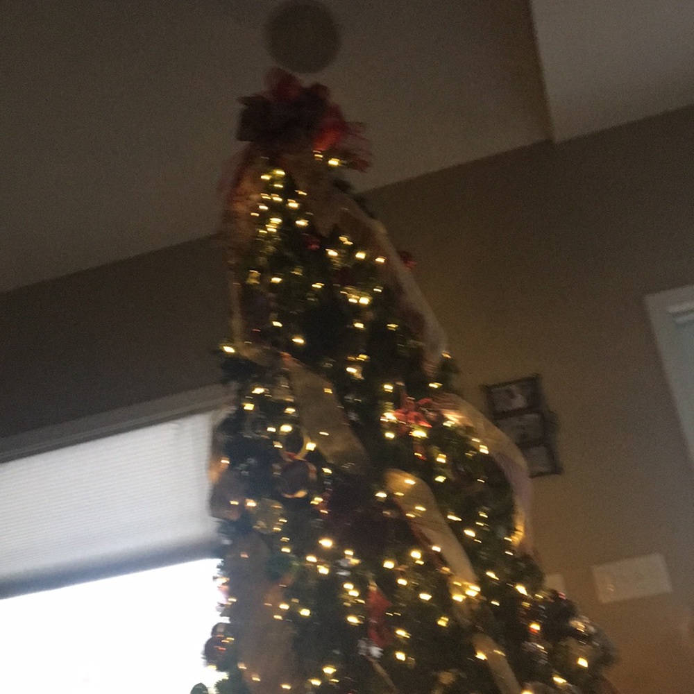 Meet your Posher, Brady